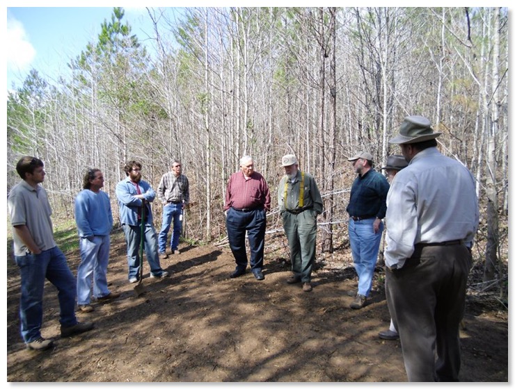 chestnut_planting_007.med